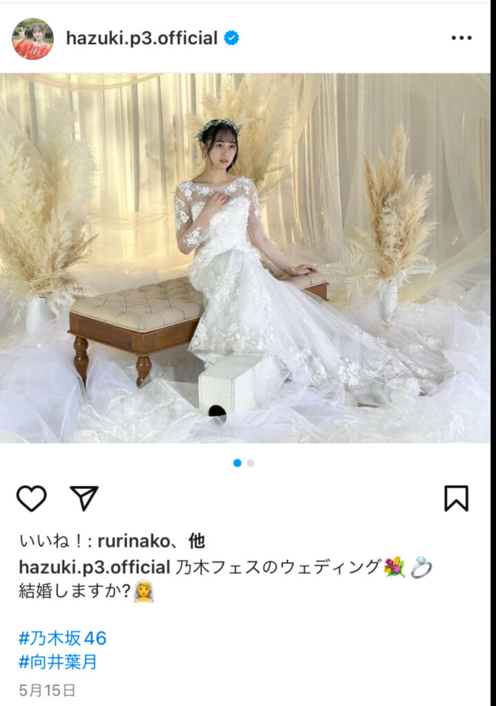 向井葉月　結婚　引退